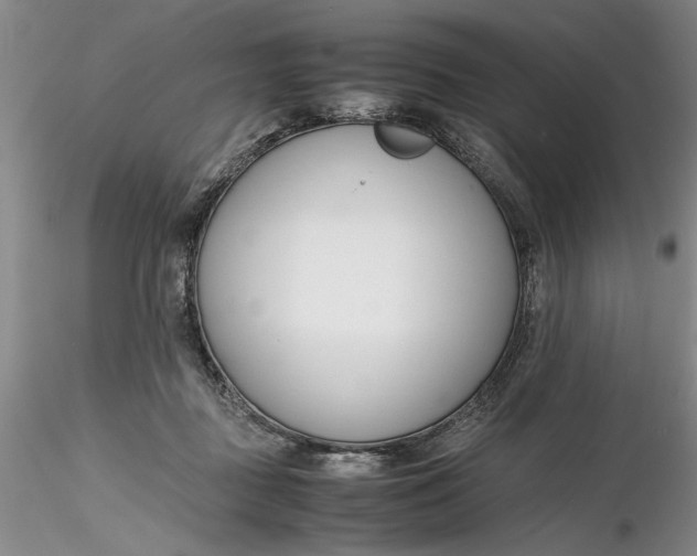 X0000116260363200912211741