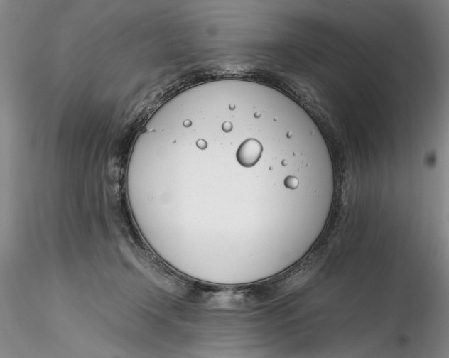 X0000116260366200912211741
