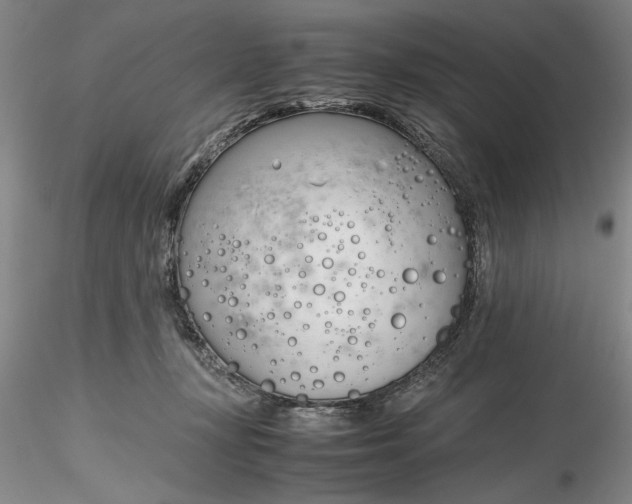 X0000116260367200912211741