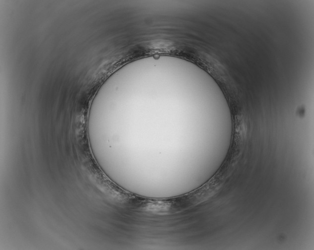 X0000116260369200912211741