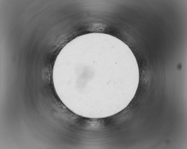 X0000116260370200912211741