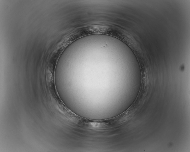 X0000116260371200912211741