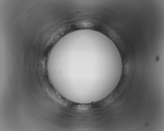X0000116260373200912211741