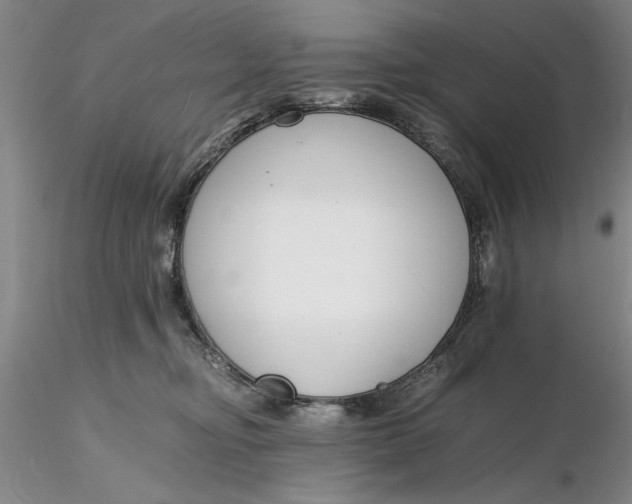 X0000116260374200912211741