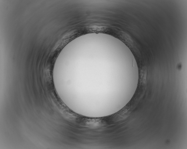 X0000116260377200912211741