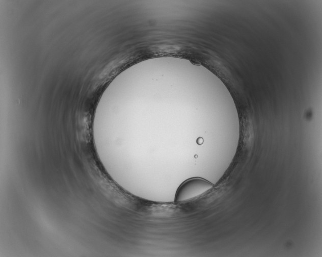 X0000116260378200912211741