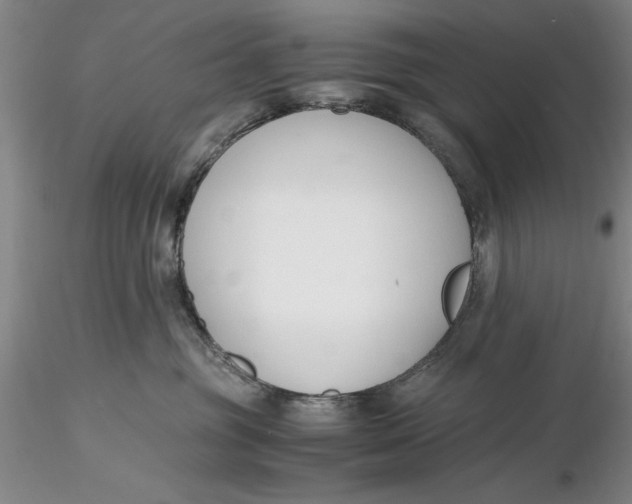 X0000116260381200912211741