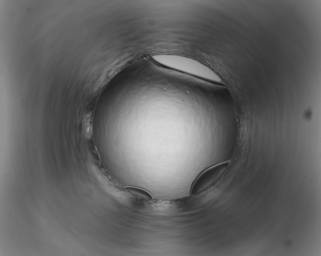 X0000116260383200912211741
