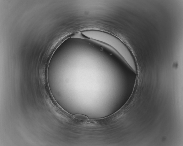X0000116260386200912211741