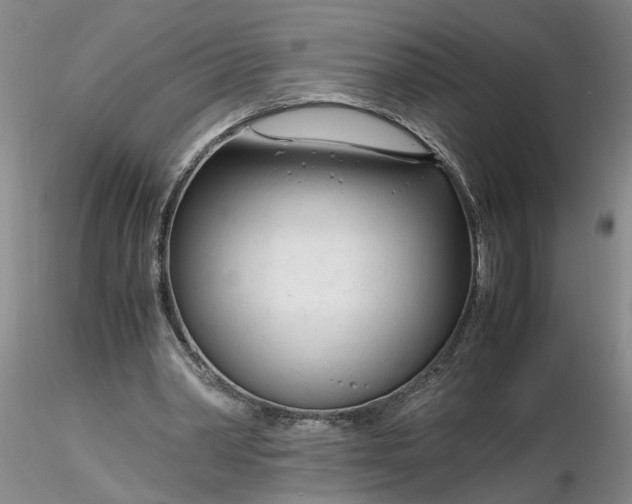 X0000116260390200912211741