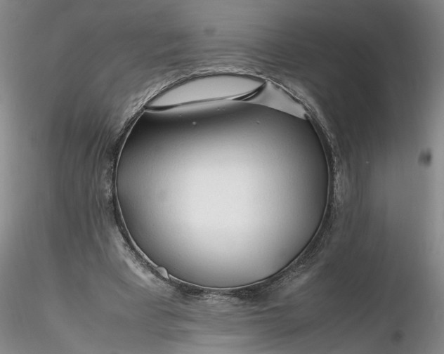 X0000116260393200912211741