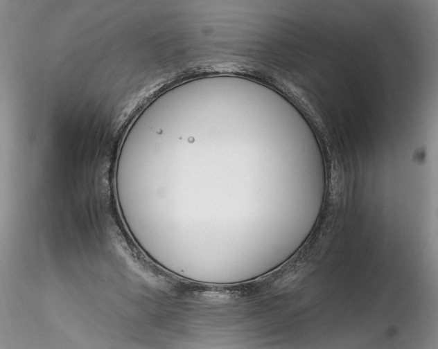 X0000116260394200912211741