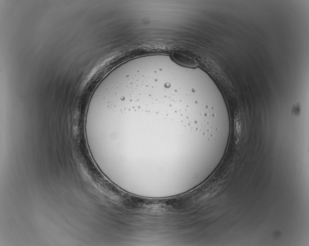 X0000116260396200912211741