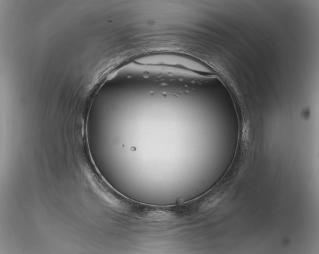 X0000116260397200912211741