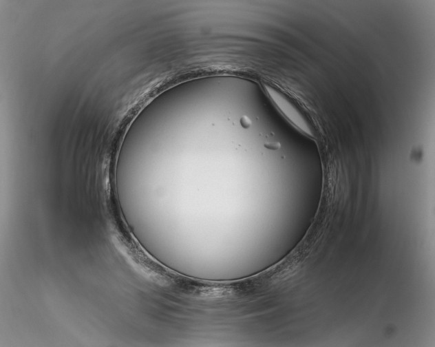 X0000116260398200912211741