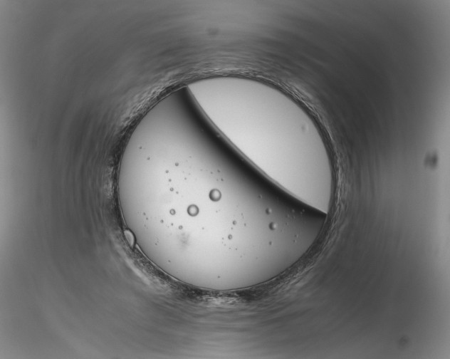 X0000116260401200912211741