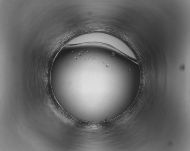 X0000116260402200912211741