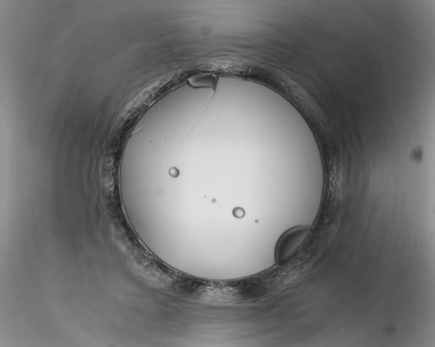 X0000116260403200912211741