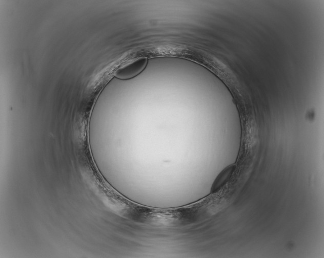 X0000116260405200912211741