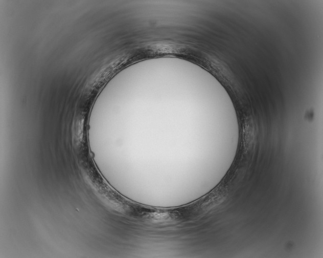 X0000116260406200912211740