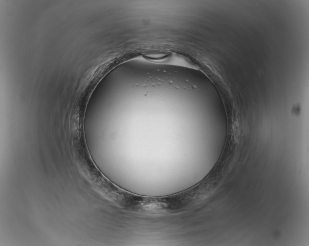 X0000116260407200912211740
