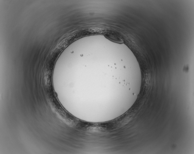 X0000116260408200912211740