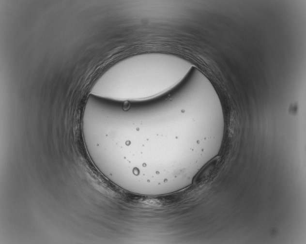 X0000116260409200912211740
