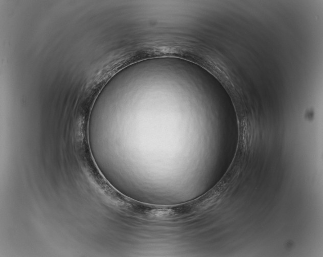 X0000116260410200912211740