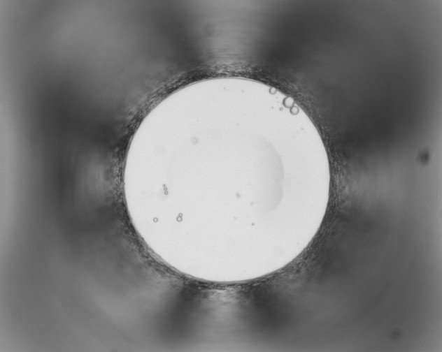 X0000116260411200912211740