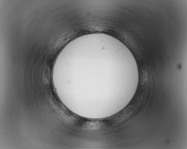 X0000116260414200912211740