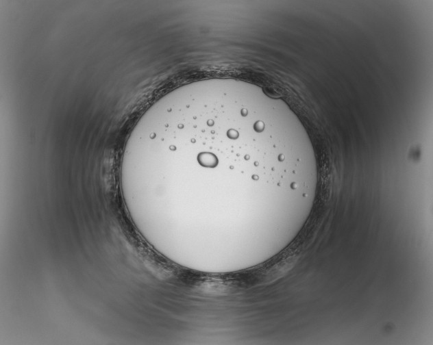 X0000116260416200912211740
