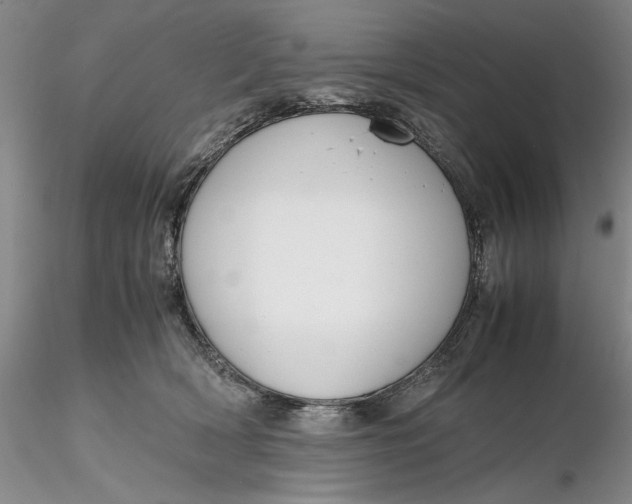 X0000116260418200912211740