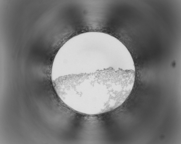 X0000116260419200912211740