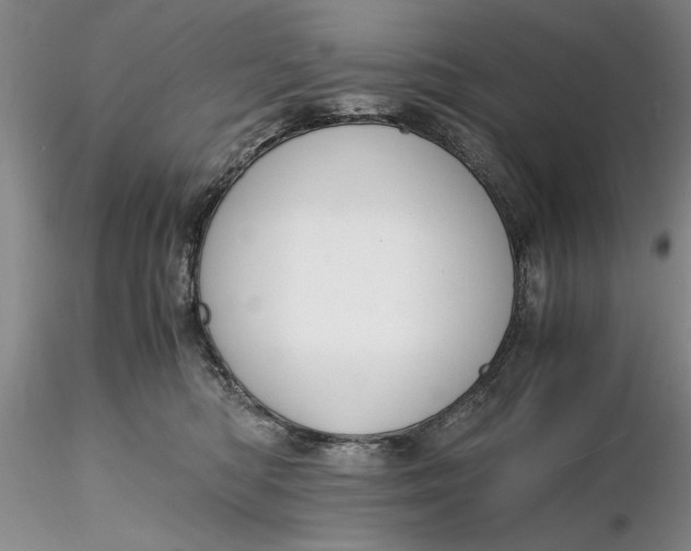 X0000116260422200912211740