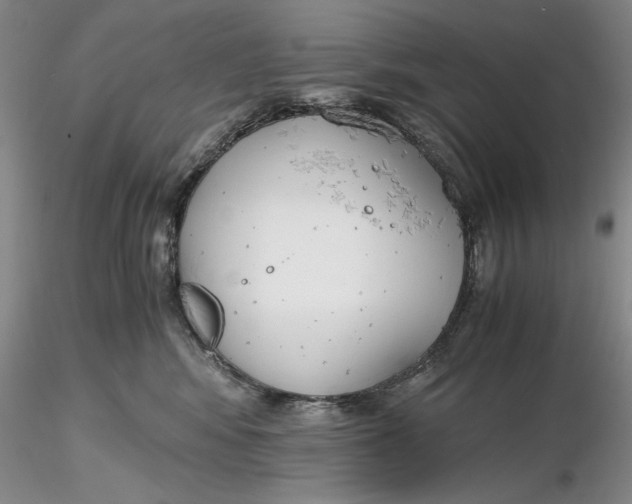 X0000116260424200912211740