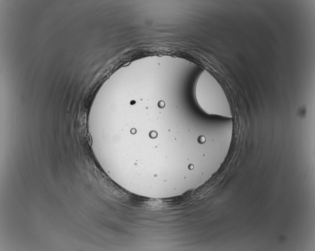 X0000116260425200912211740