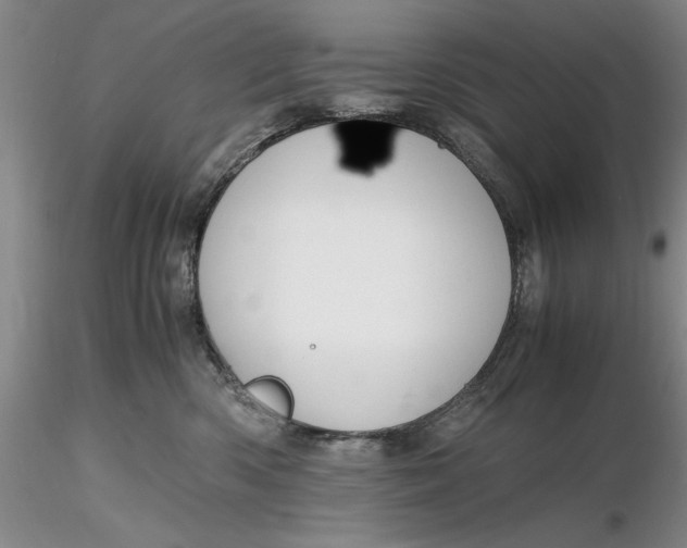 X0000116260426200912211740