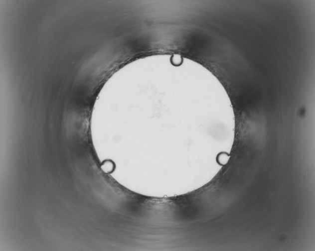 X0000116260427200912211740