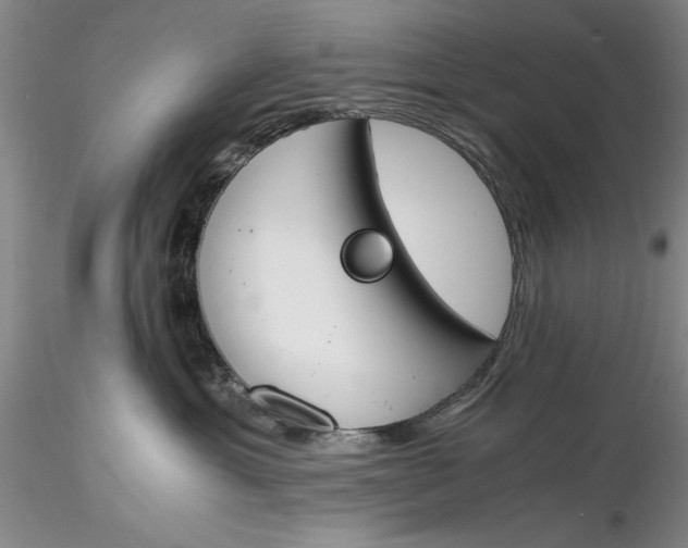 X0000116260429200912211740