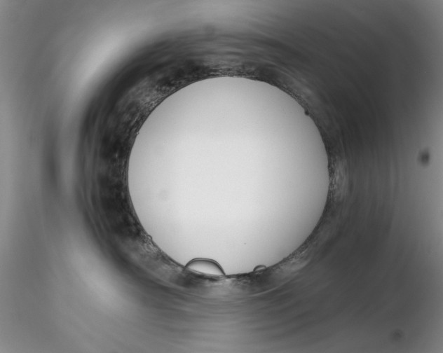 X0000116260430200912211740