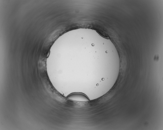 X0000116260432200912211740