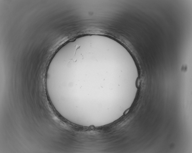 X0000116260433200912211739