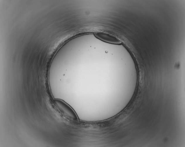 X0000116260434200912211739
