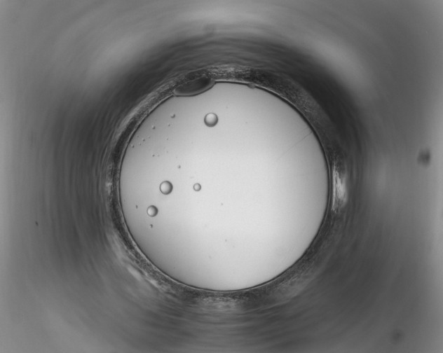 X0000116260435200912211740