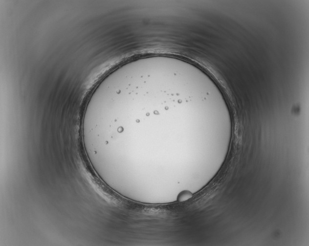 X0000116260437200912211740