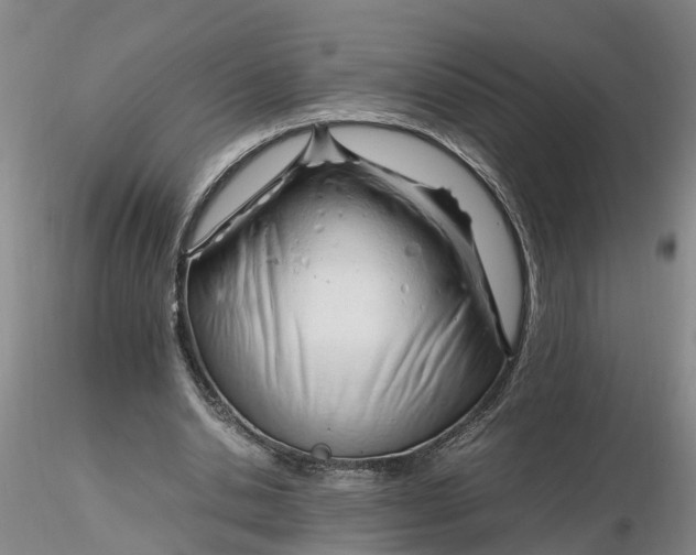 X0000116260438200912211740