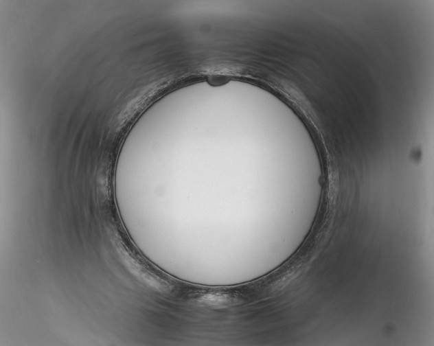 X0000116260441200912211740