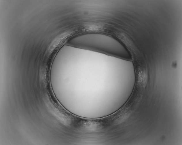 X0000116260444200912211740