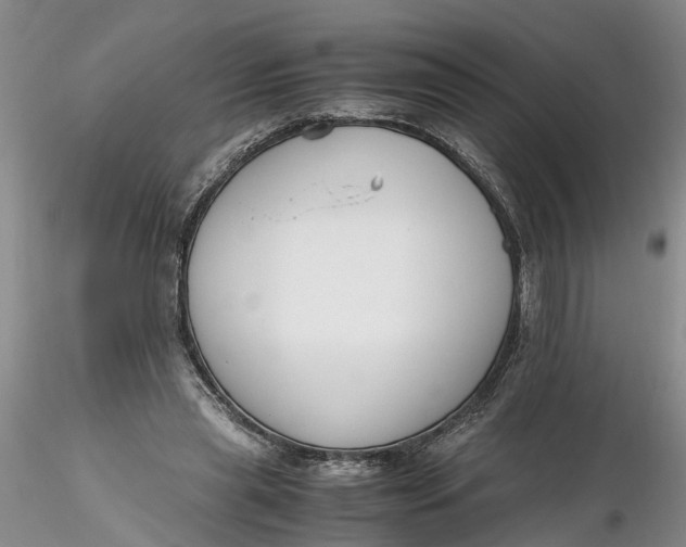 X0000116260445200912211740