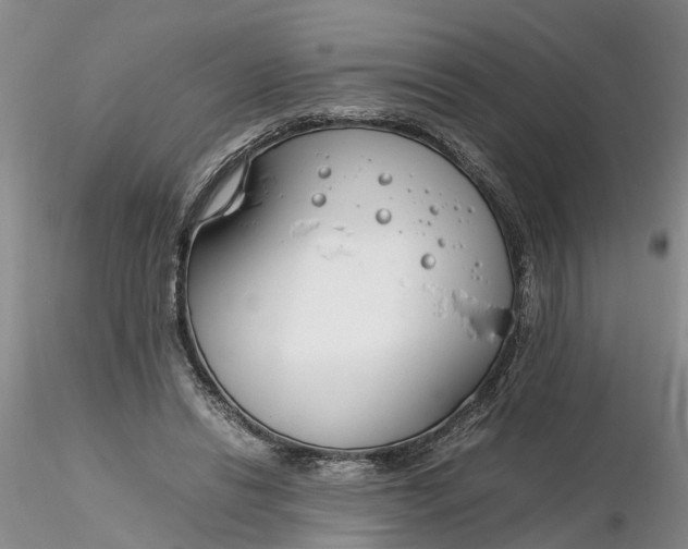 X0000116260446200912211740